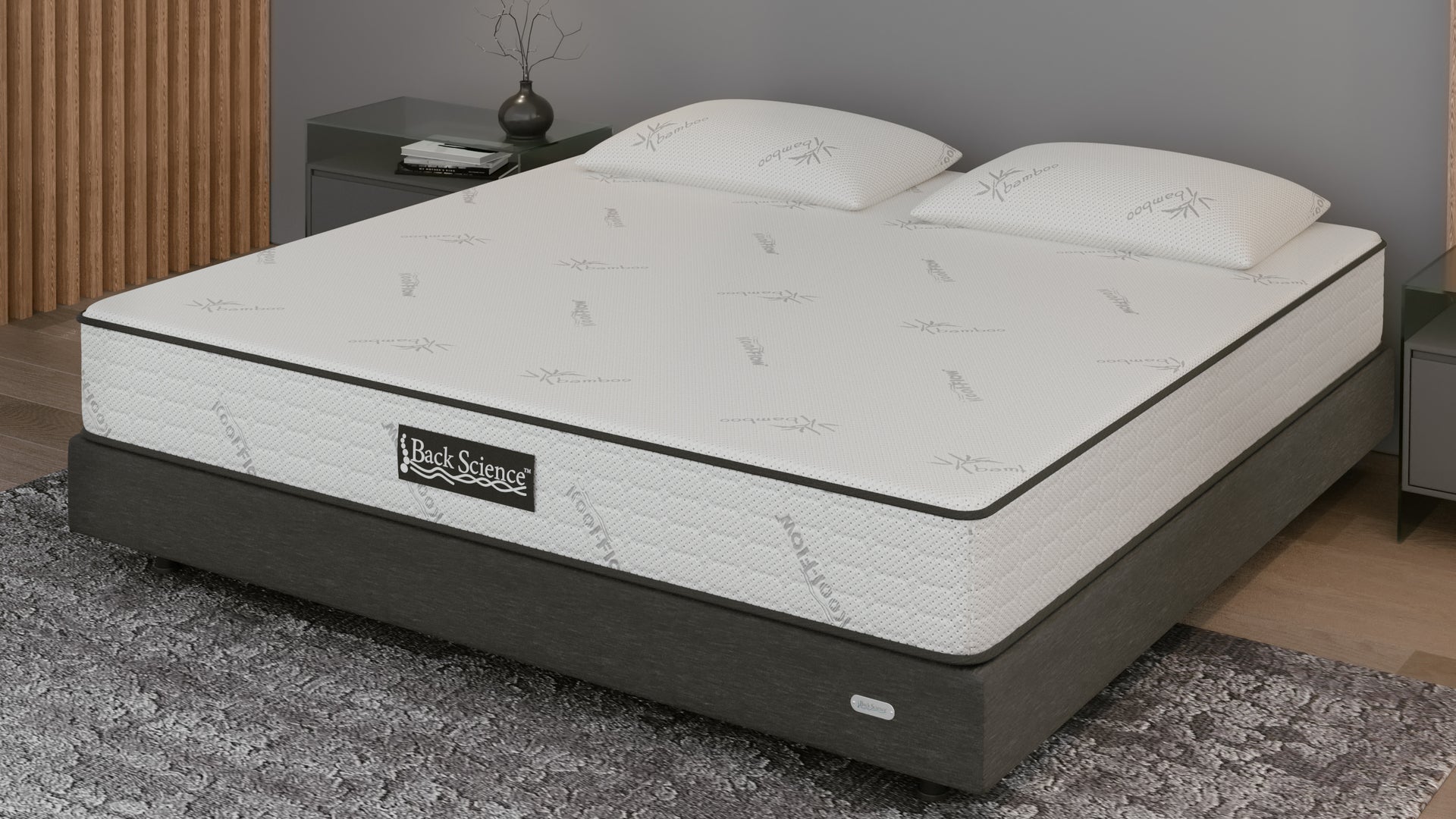 Best Mattress for Back Pain and Lumbar Support Back Science® Mattress