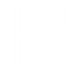 Flag icon
