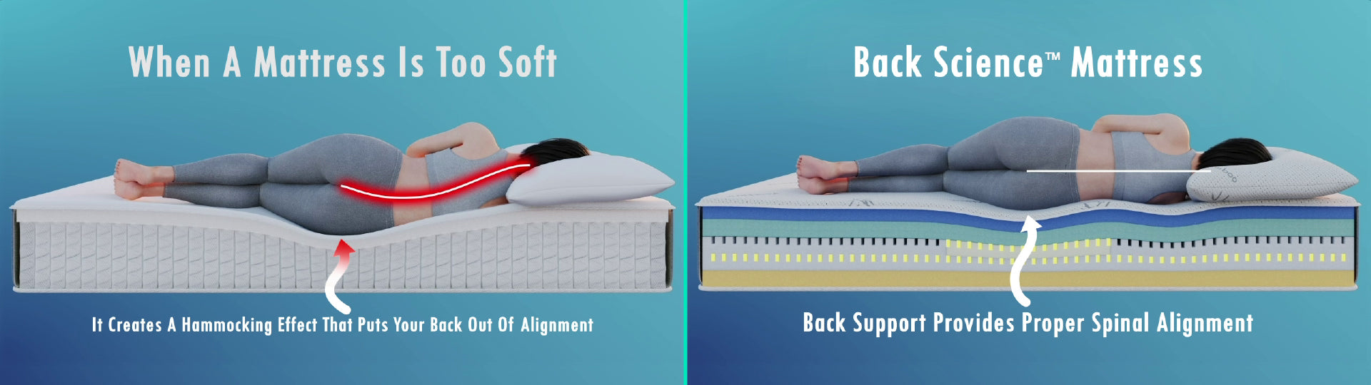 Back Science® Spinal Alignment Model Demonstration Image