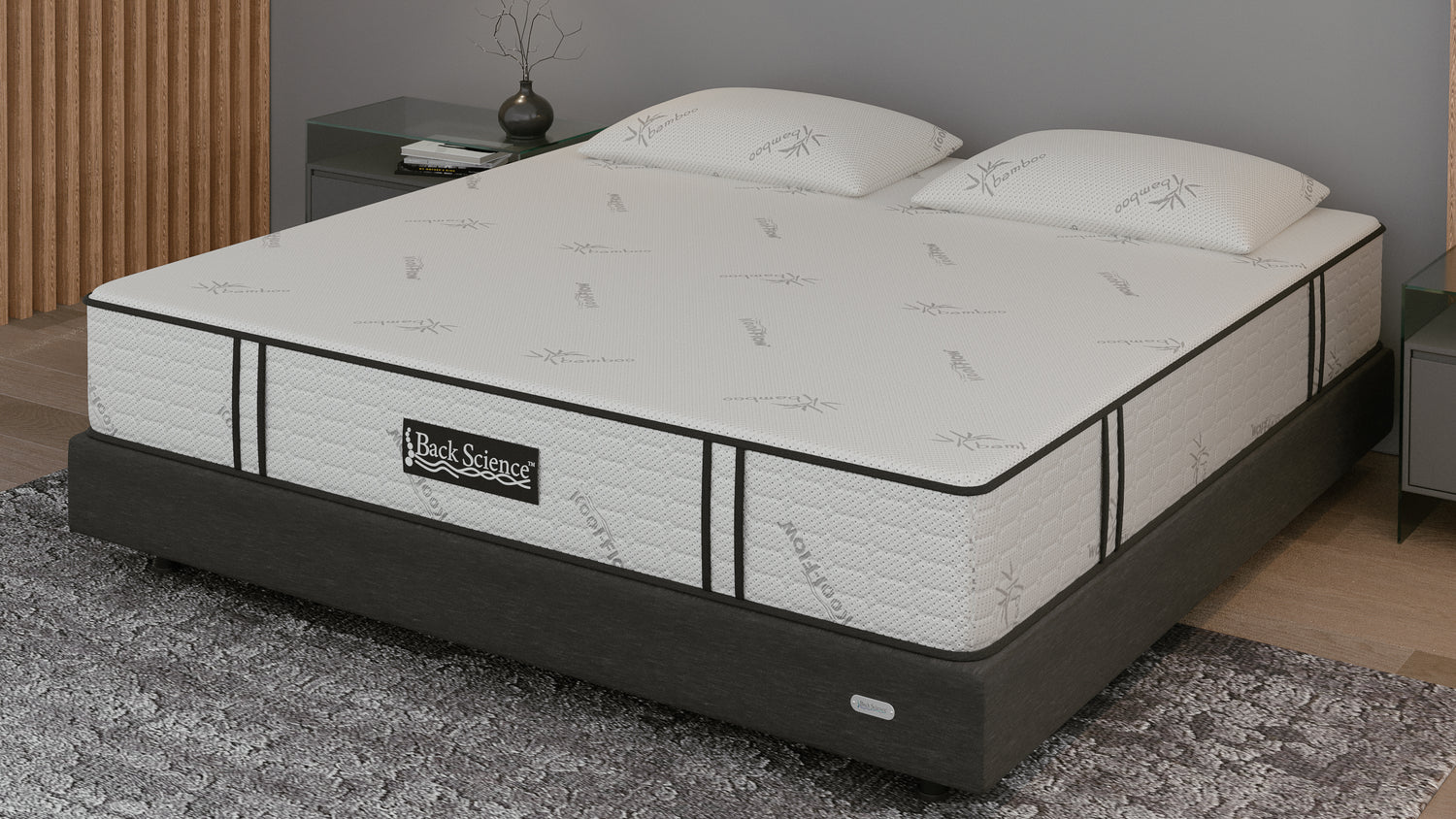 Back Science Series 1 Mattress