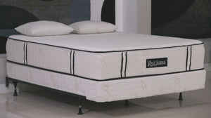 True platform box foundation with Back Science mattress on top