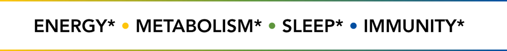 Bodycloc banner