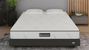 Back Science Back Pain Mattress Series 1