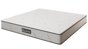 Back Science Back Pain Mattress Series 1