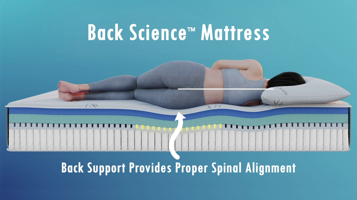 Back Science Proper Spinal Alignment Graphic